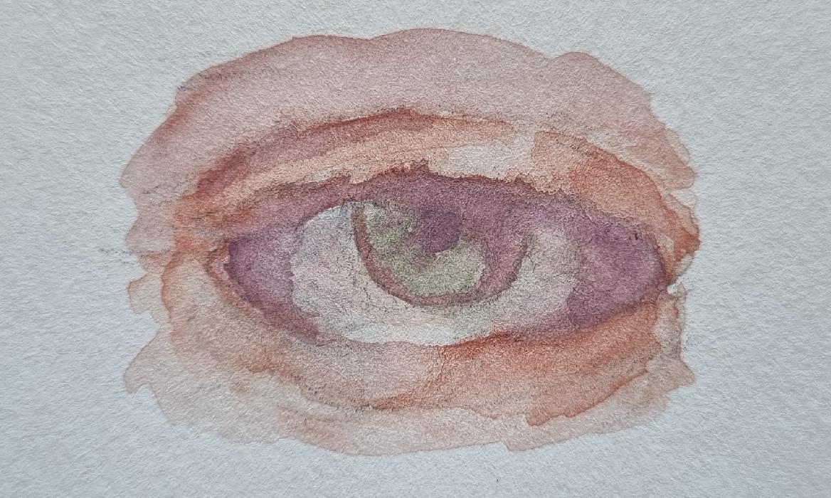 an eye