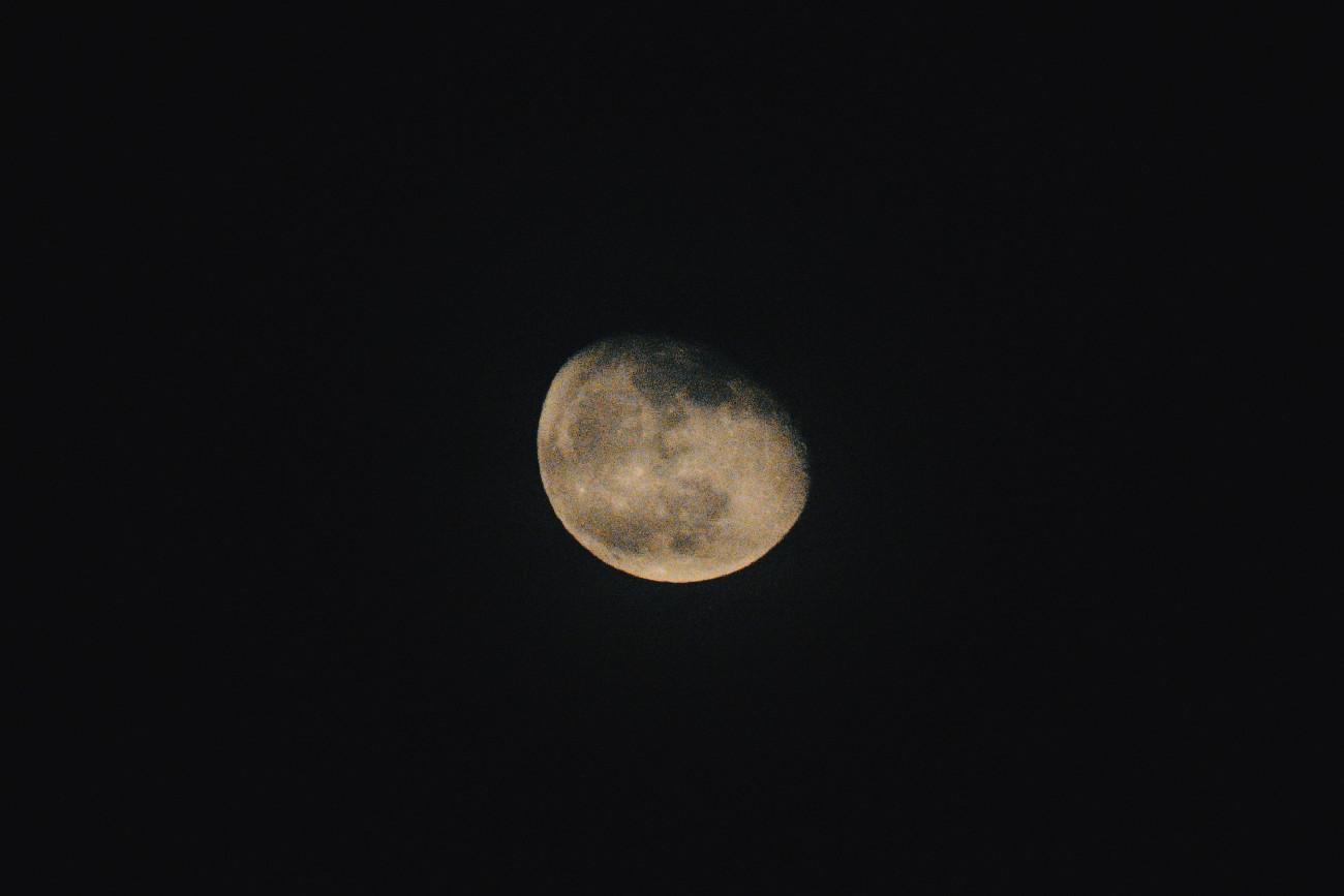 the moon in waxing gibbous phase