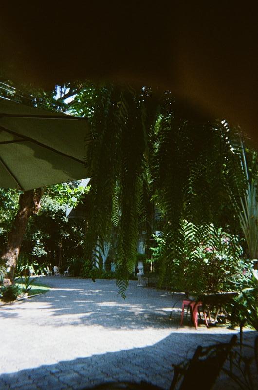 a courtyard filled with many plants