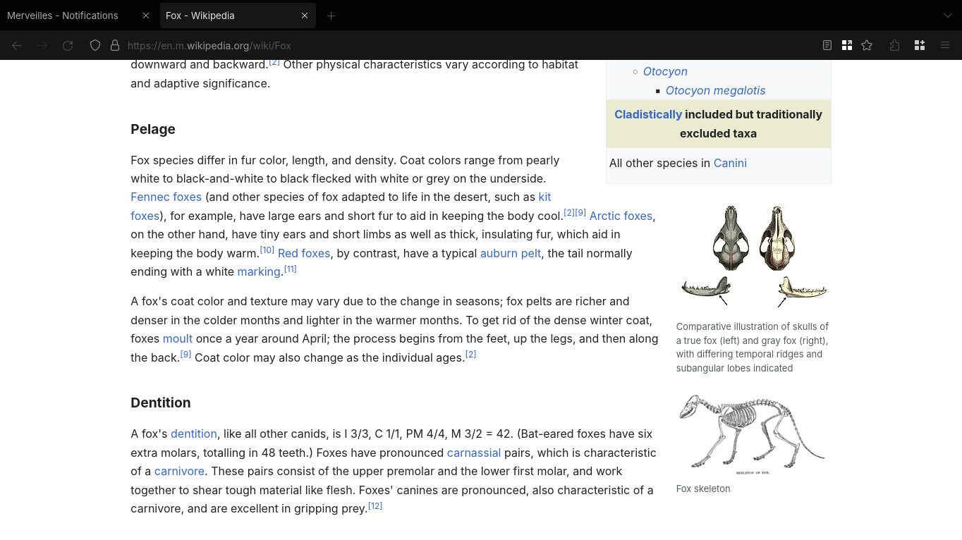 the Wikipedia page for foxes displayed in Firefox