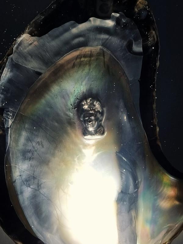 an image of the late Queen Elizabeth II in an oyster shell