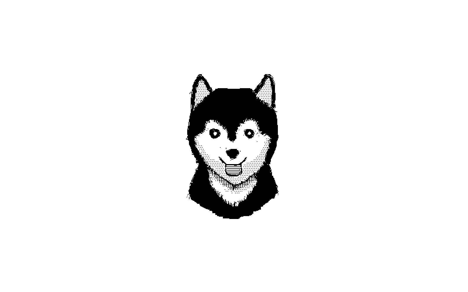 a husky