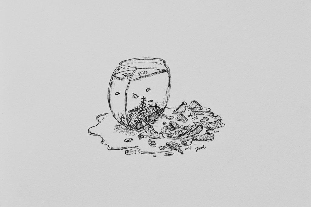 drawing of a half-broken fish bowl